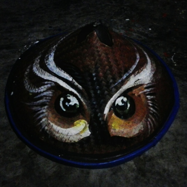 Burung hantu/Owl caping